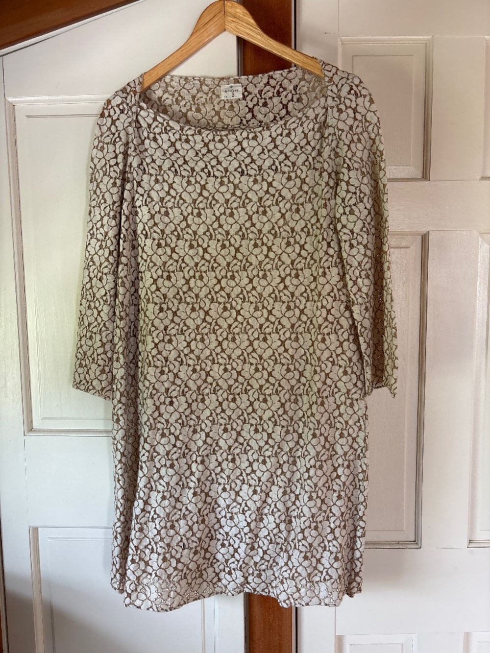 Hartford—Cotton Lace shift dress